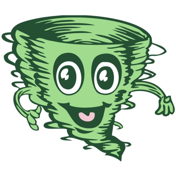 BAW STORM 16 RC Thumbnail